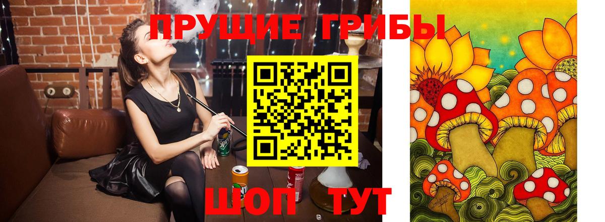 Тайшет  Псилоцибиновые грибы ЛСД  купить наркоту  Псилоцибиновые грибы мухоморы  Вход с VPN 